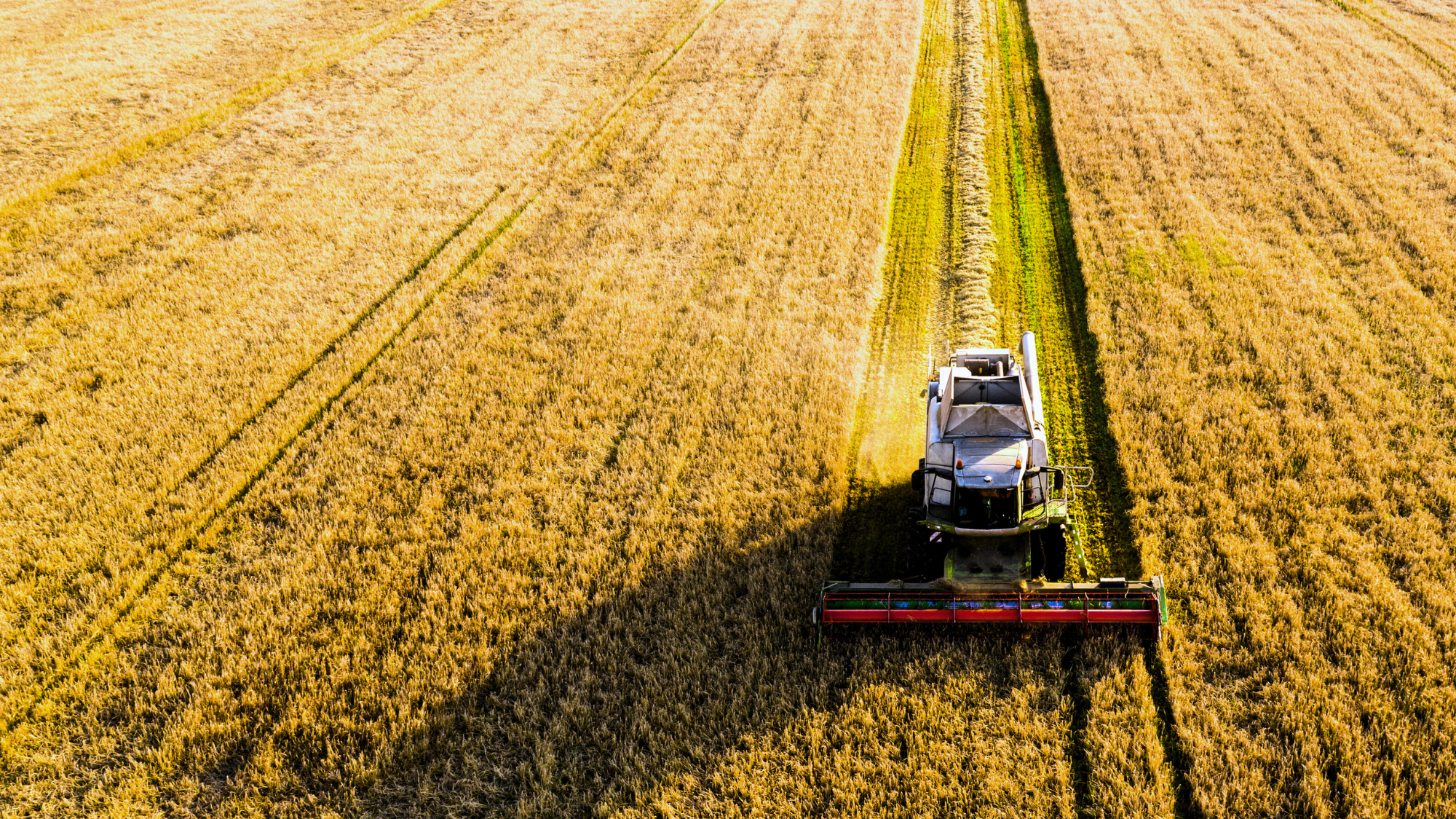 Agriculture